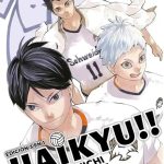 MANGA HAIKYU 15 EDICION 3 EN 1 PANINI