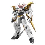 HG AMPLIFIED IMGN RYUOUMARU