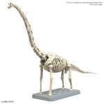 PLANNOSAURUS BRACHIOSAURUS - Image 2