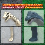 PLANNOSAURUS BRACHIOSAURUS - Image 6