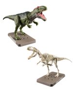 PLANNOSAURUS GIGANOTOSAURUS