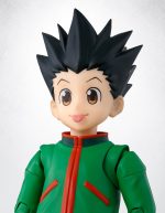 SH FIGUARTS GON - Image 6