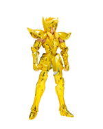 SAINT CLOTH MYTH EX AQUARIUS HYOGA - INHERITOR OF THE GOLD CLOTH