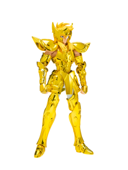 SAINT CLOTH MYTH EX AQUARIUS HYOGA - INHERITOR OF THE GOLD CLOTH