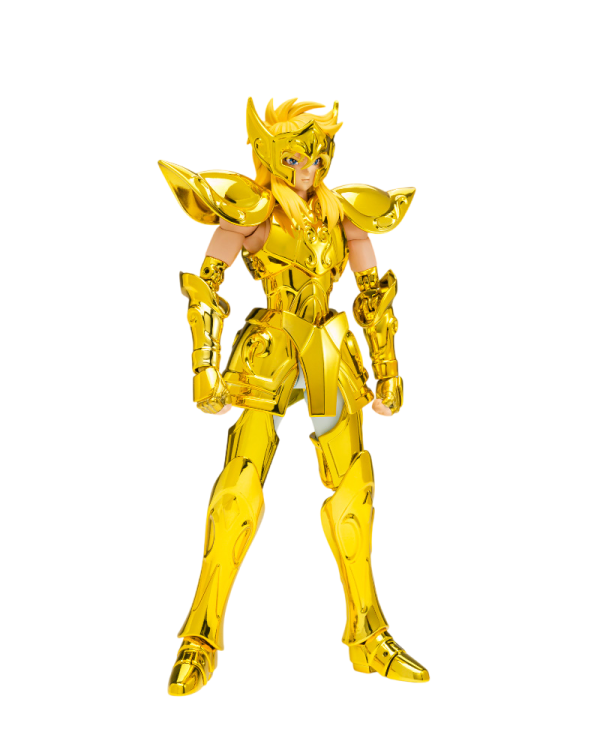 SAINT CLOTH MYTH EX AQUARIUS HYOGA - INHERITOR OF THE GOLD CLOTH - Image 3