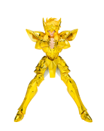 SAINT CLOTH MYTH EX AQUARIUS HYOGA - INHERITOR OF THE GOLD CLOTH - Image 2