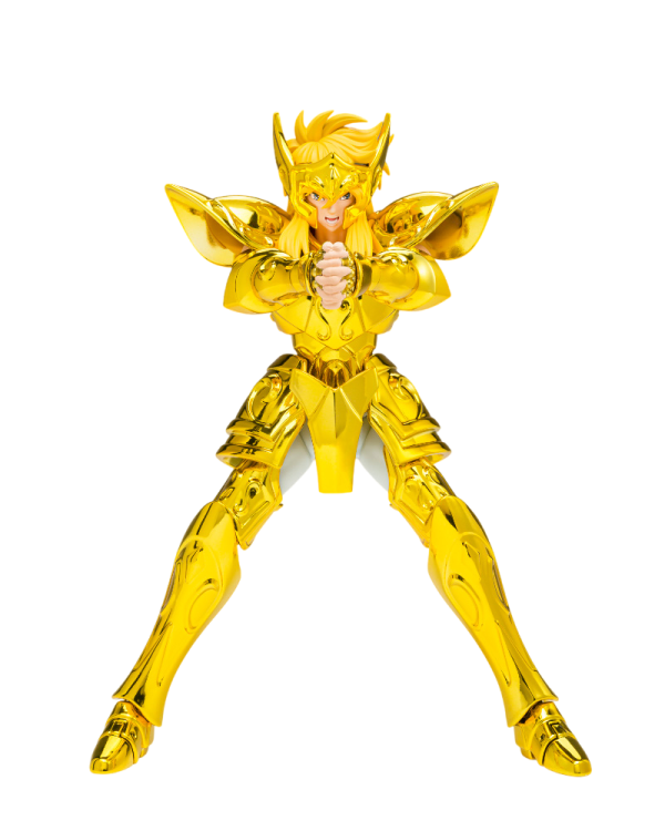 SAINT CLOTH MYTH EX AQUARIUS HYOGA - INHERITOR OF THE GOLD CLOTH - Image 2