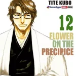 MANGA BLEACH 12 PANINI