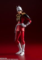 SH FIGUARTS CHAR AZNABLE - Image 2