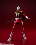 SH FIGUARTS CHAR AZNABLE - Image 6