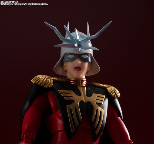 SH FIGUARTS CHAR AZNABLE - Image 12
