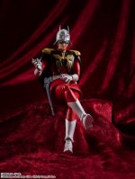 SH FIGUARTS CHAR AZNABLE - Image 14