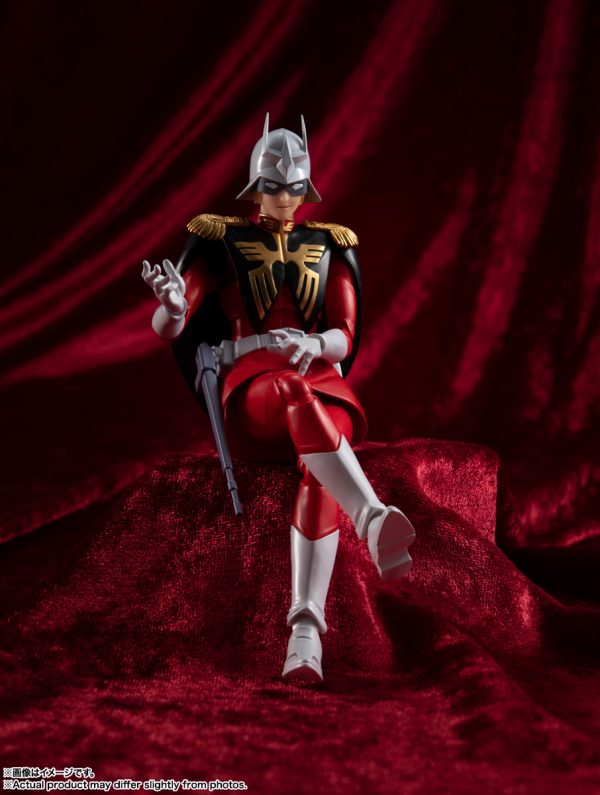 SH FIGUARTS CHAR AZNABLE - Image 14
