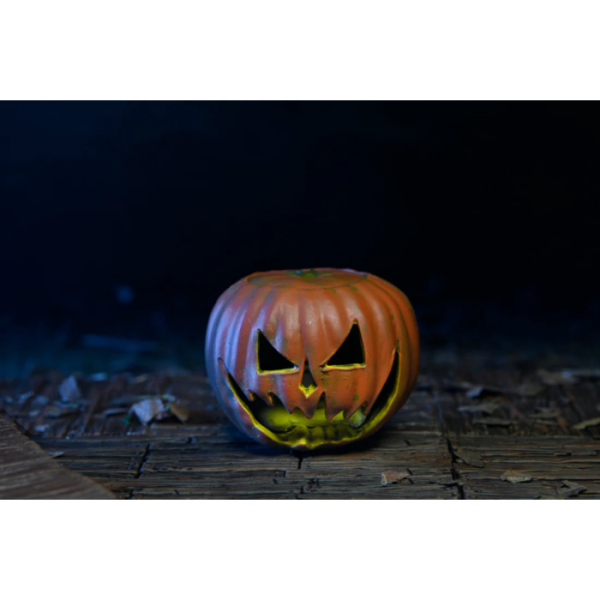 NECA HALLOWEENTHE CURSE OF MICHAEL MYERS - Image 12