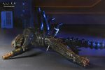 ALIEN ROMULUS NECA - Image 5