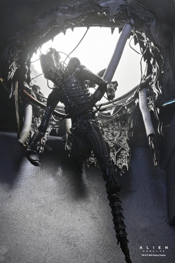 ALIEN ROMULUS NECA - Image 3