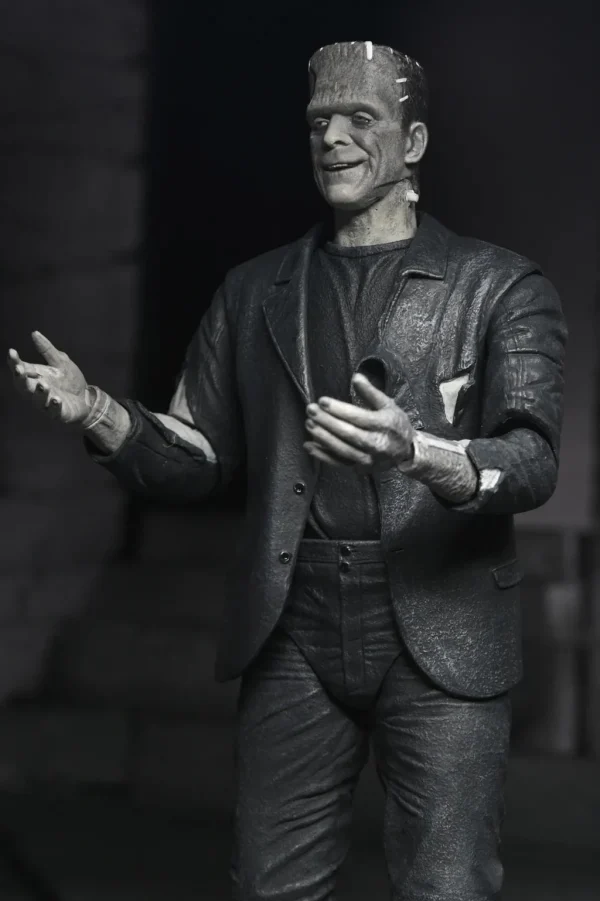 NECA THE BRIDE OF FRANKENSTEIN THE MONSTER AND HIS MATE - Image 4