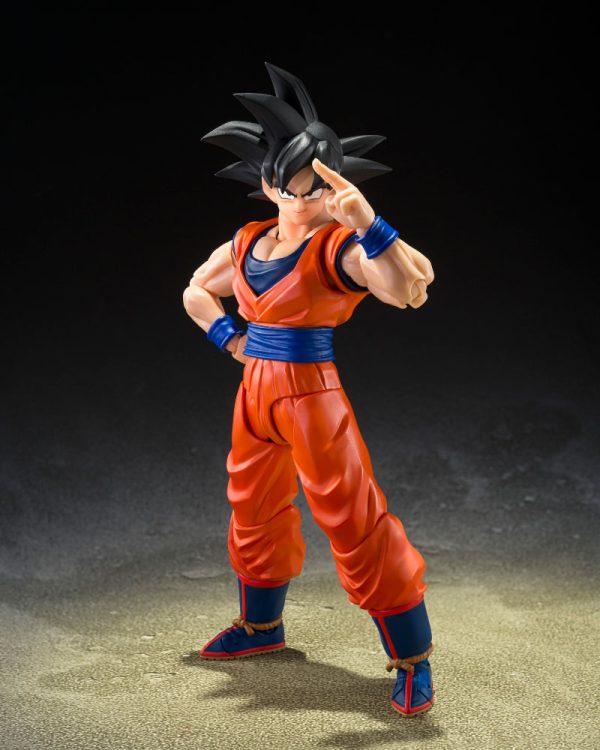 SH FIGUARTS SON GOKU THE KIND HEARTED SAIYAN - Image 6