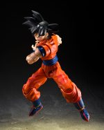 SH FIGUARTS SON GOKU THE KIND HEARTED SAIYAN