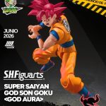 PREVENTA - SUPER SAIYAN GOD SON GOKU (GOD AURA) - DRAGON BALL SUPER