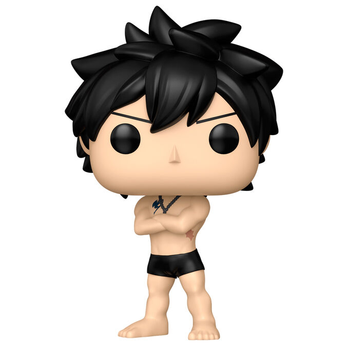 img_449383_166b1b2a5b093daba0650a6284fbaed6_1 FUNKO FAIRY TAIL 100 YEARS EST GRAY CHASE POP 2287 - Image 1