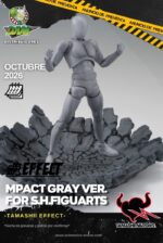 PREVENTA - IMPACT GRAY VER. FOR SH FIGUARTS
