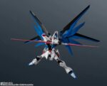 PREVENTA - ZGMF - X10A FREEDOM GUNDAM RENEWAL - Imagen 2